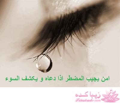 كافه گفت وگو ...