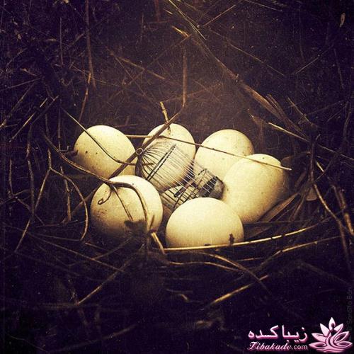 نمایشگاه احساس