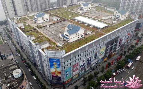 قاطی پاطی..........تاتی تاتی