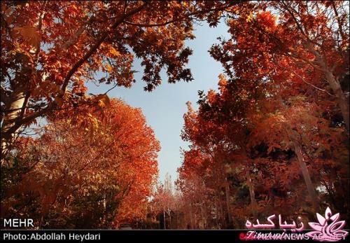 یک شهر با زیبا ترین پاییززز