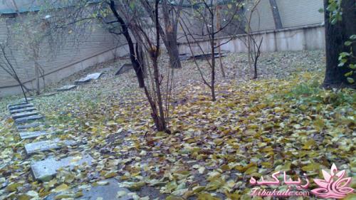 .:آلبوم عکسهای خودگرفته ما:.