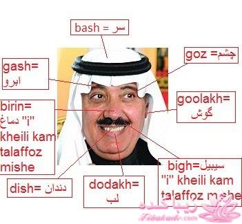 آموزش زبان ترکی استانبولی با عکس