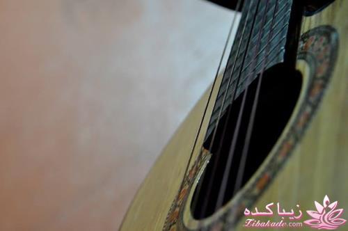 .:آلبوم عکسهای خودگرفته ما:.