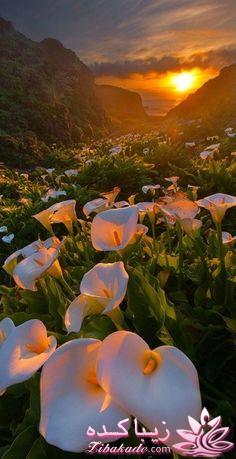 هر روز یک نکته