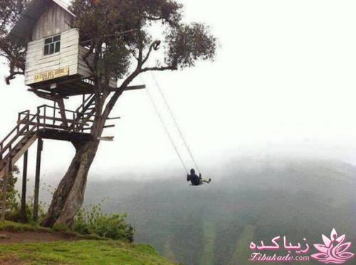 عکس های جالب