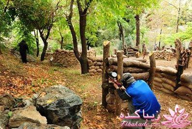 با من همراه شو