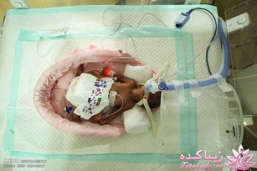 گفت و گویی با پدر شش قلوهای مشهدی