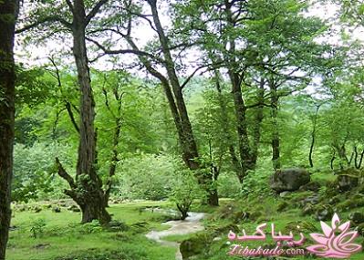 عکـــــــــــــــــس های گرفته شده در سفـــــــر