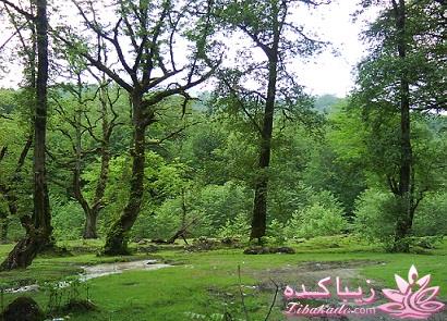 عکـــــــــــــــــس های گرفته شده در سفـــــــر