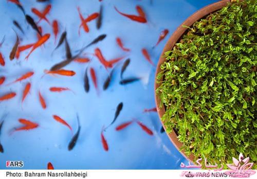 ♥♥♥ عیدانه (سال 1393) ♥♥♥ 