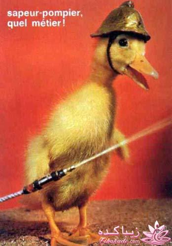 *.*.*.*دهه شصتی ها*.*.*.*