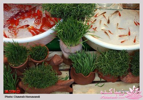 ♥♥♥ عیدانه (سال 1393) ♥♥♥ 