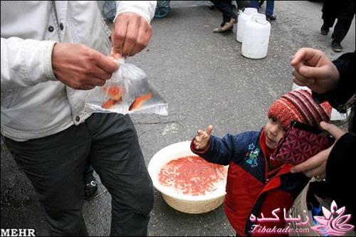 ♥♥♥ عیدانه (سال 1393) ♥♥♥ 