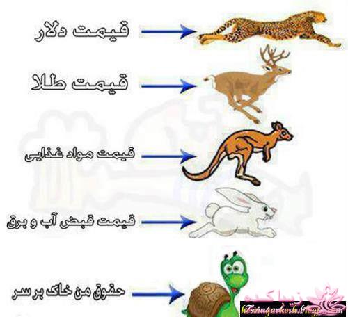 ترول های خنده دار | ترول های جدید 