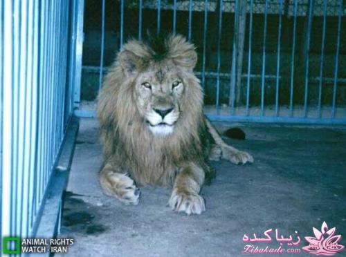 شهر تبریز ، جاذبه های گردشگری ،تاریخی ،تفریحی