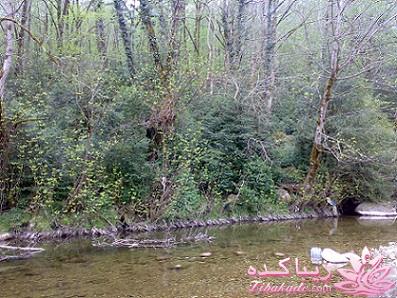 عکـــــــــــــــــس های گرفته شده در سفـــــــر