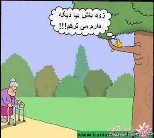 مجله سرگرمی زیباکده