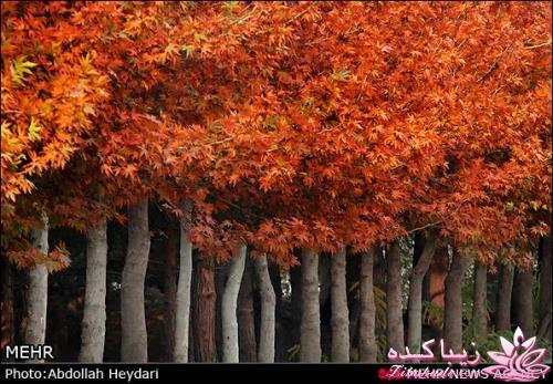 یک شهر با زیبا ترین پاییززز