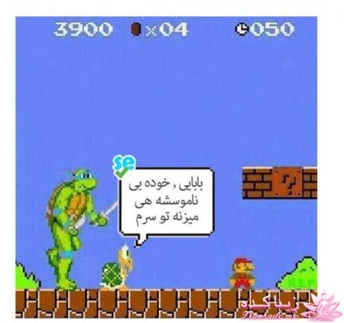 جـــــــــــــکـــــــ     جــــــــــالــــــــب