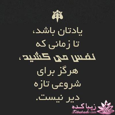 جملات ناب.............................نکات شیرین