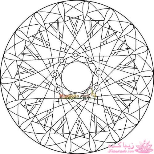 همه چیز در مورد ویترای...