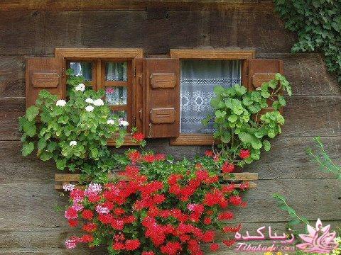 سلام علیکمـ