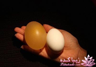 تغییر کردن ظاهر تخم مرغ در سرکه