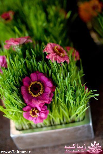 ♥♥♥ عیدانه (سال 1393) ♥♥♥ 