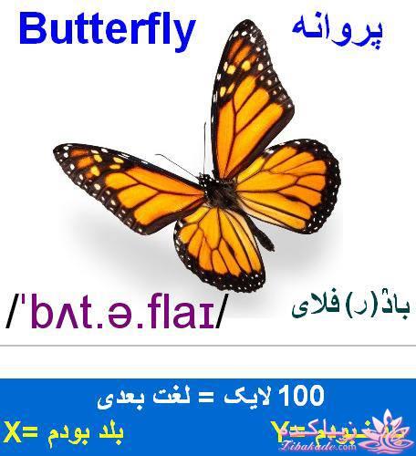 آموزش زبان انگلیسی با عکس