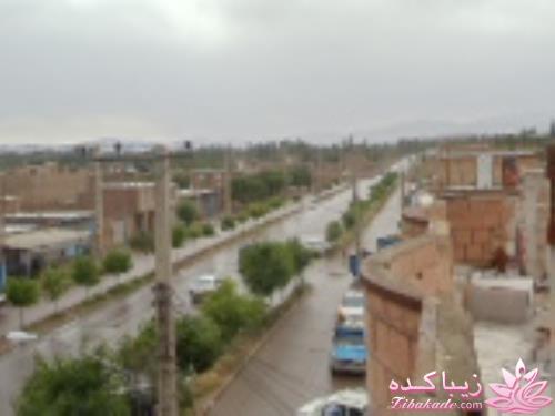 .:آلبوم عکسهای خودگرفته ما:.