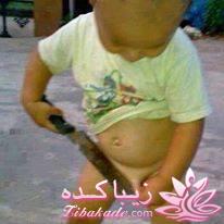 جـــــــــــــکـــــــ     جــــــــــالــــــــب