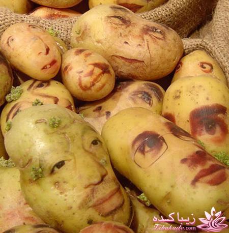 قاطی پاطی..........تاتی تاتی