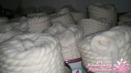 عجیب ترین خرگوش دنیا