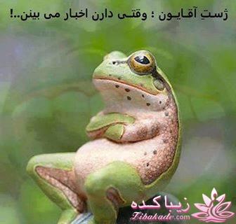 جـــــــــــــکـــــــ     جــــــــــالــــــــب