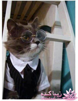 قاطی پاطی..........تاتی تاتی