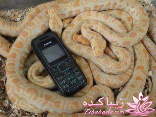  بدو بیــــــــــــــــــا یه سوال؟؟؟