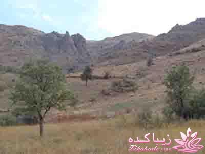 .:آلبوم عکسهای خودگرفته ما:.