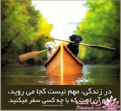 سخنان ارزشمند