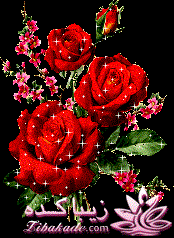 رنگ مو، آموزش ترکیب رنگ مو