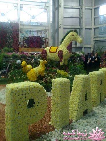 مسابقه عکاسی زیباکده ای مورد حمایت فروشگاه پانوراما**ویژه دریافت عکس**