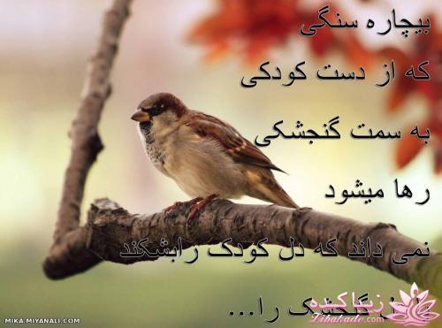 جملات ناب.............................نکات شیرین