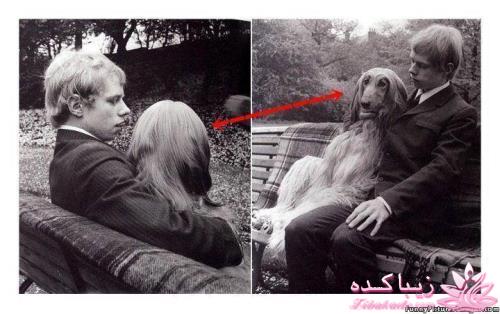 نکته عکس رو گرفتی؟؟؟؟