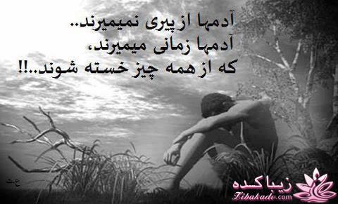 جملات ناب.............................نکات شیرین