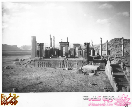 نادرترین عکسهای تاریخ