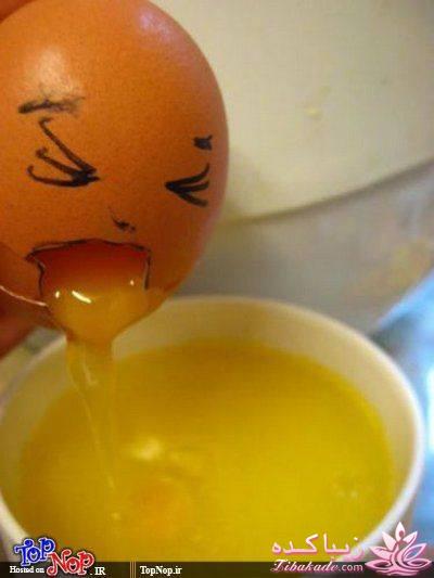 قاطی پاطی..........تاتی تاتی