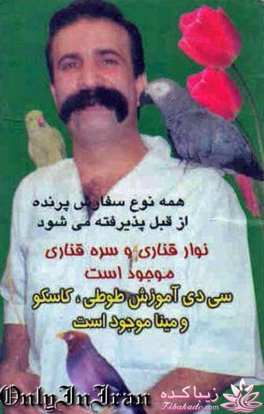 عکس بازیگراااااا....دوس داری بیاااااا