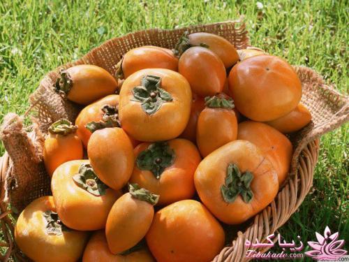 تزیینات شب یلدا