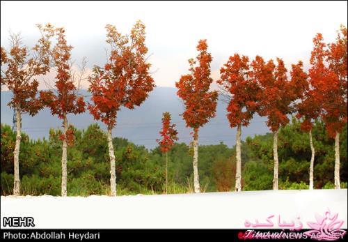 یک شهر با زیبا ترین پاییززز