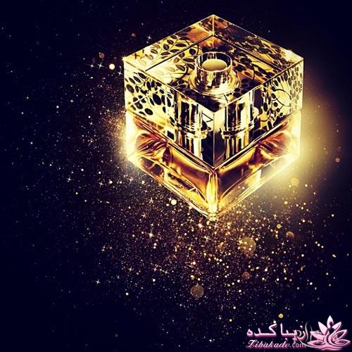 معرفی بهترین عطر و ادکلن ها