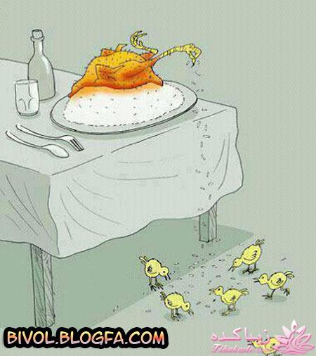 مجله سرگرمی زیباکده